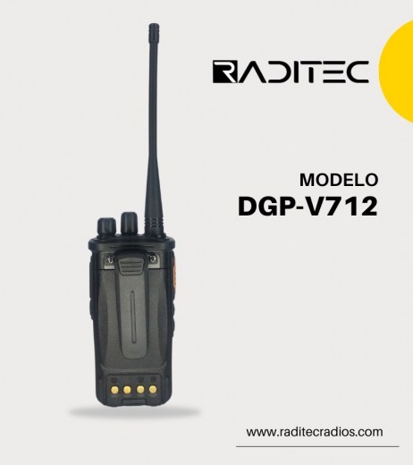 DGP-V712 (2)